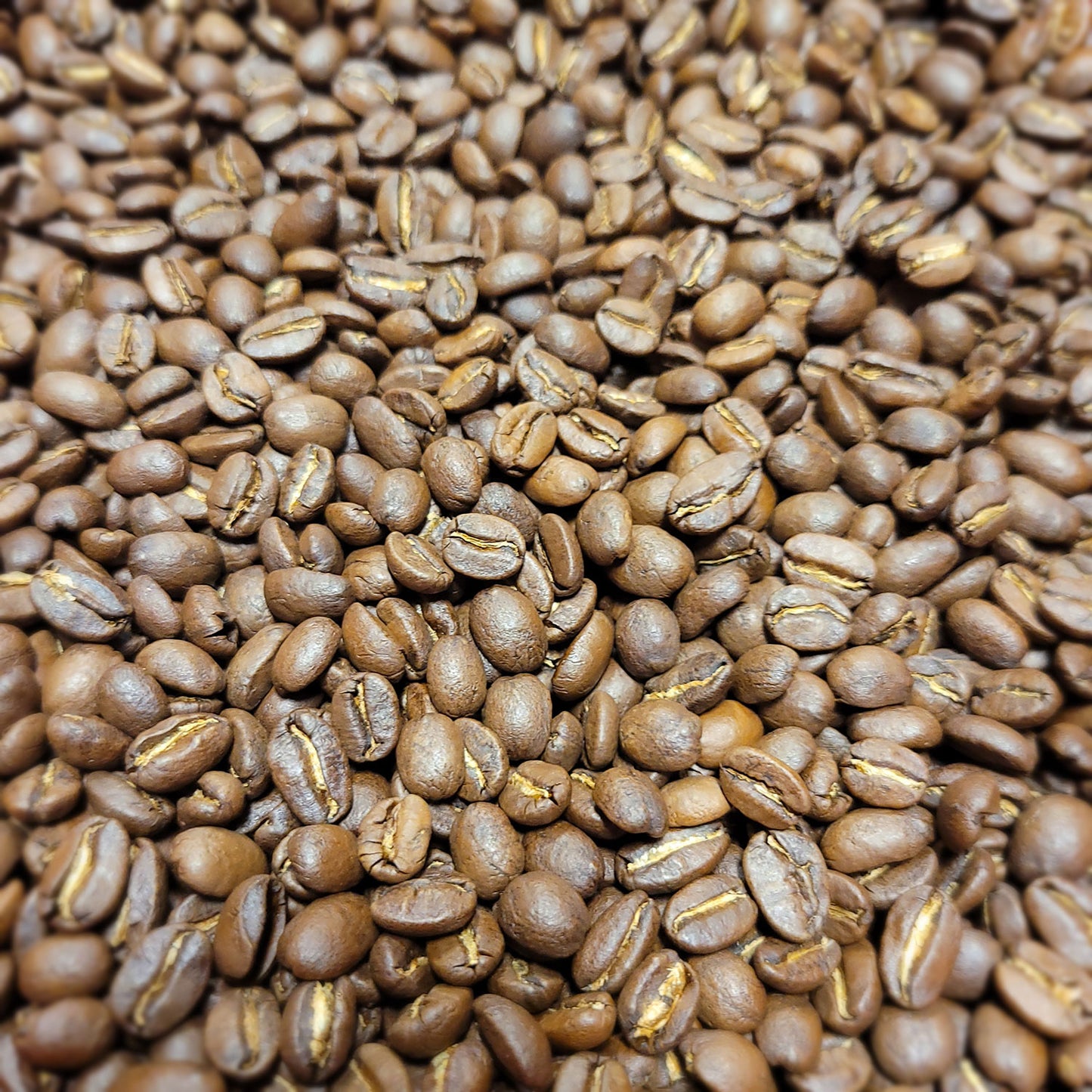 Rodner's Cup - Red Bourbon