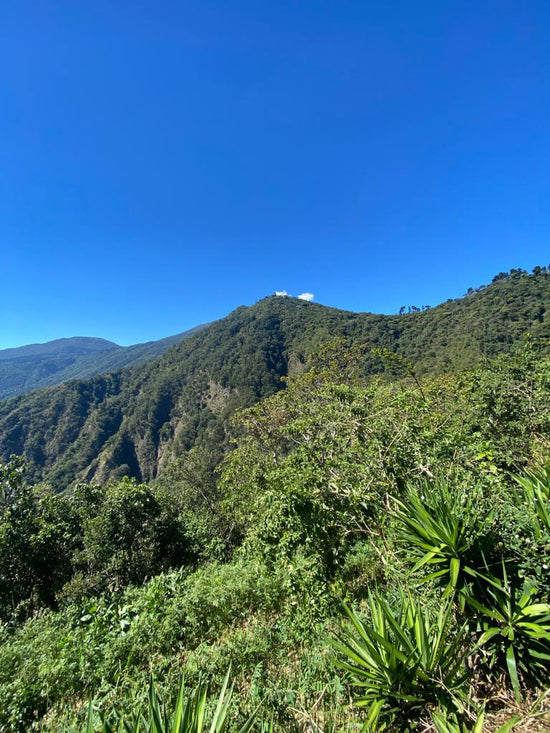 Apaneca Lamatepec Cordillera
