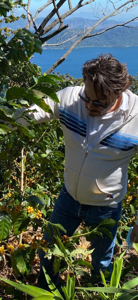 Ready to pick!