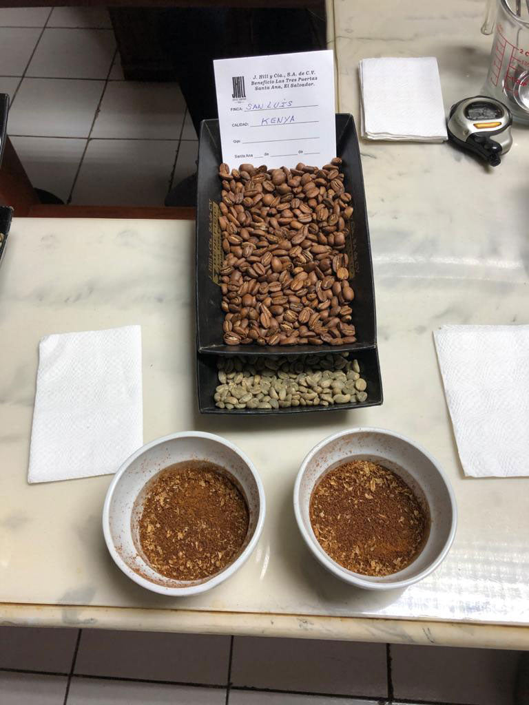Kenya Cupping