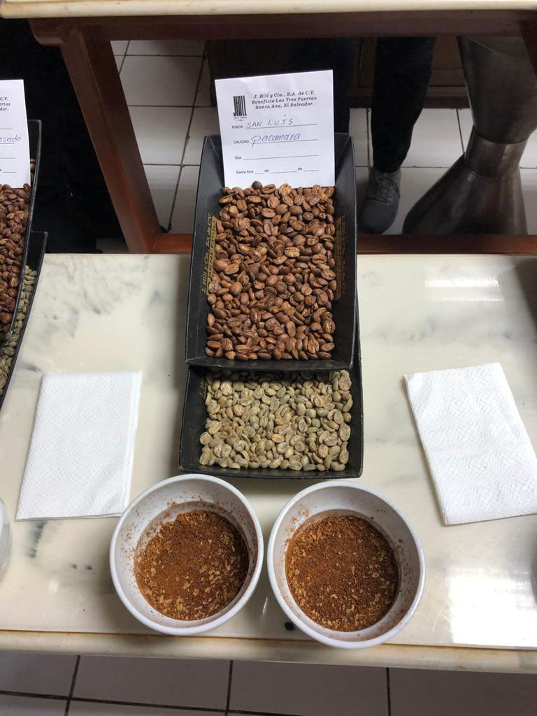 Pacamara Cupping